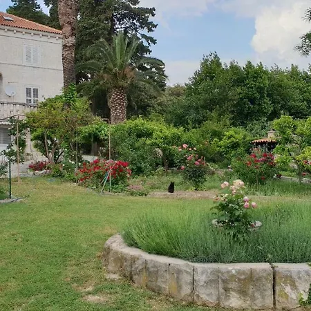 Апартаменты Lju On The *